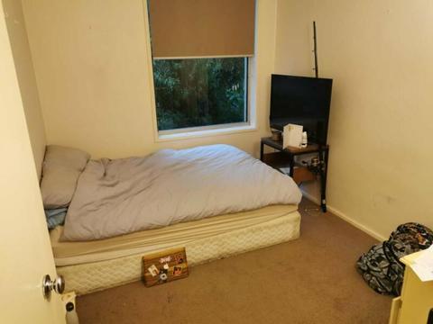 Room To Rent In South Yarra