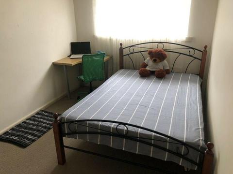 Single room for rent in dandenong town