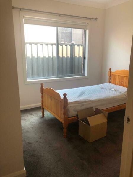 Room to Rent in Craigieburn