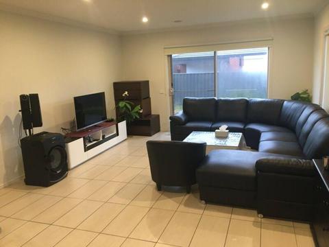 Room for rent in tarneit