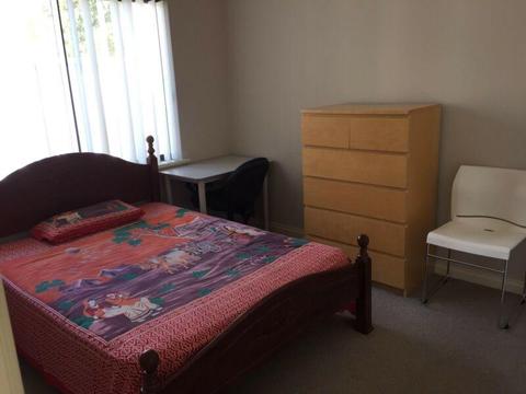Big room for rent in Cannington