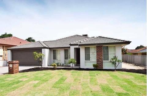 Cozey home in Redcliffe looking for house mate