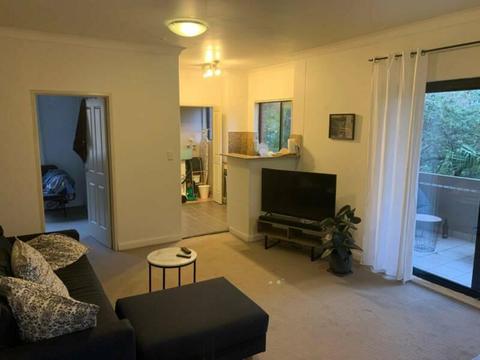 Short term rental one bedroom apartment in Bondi with parking