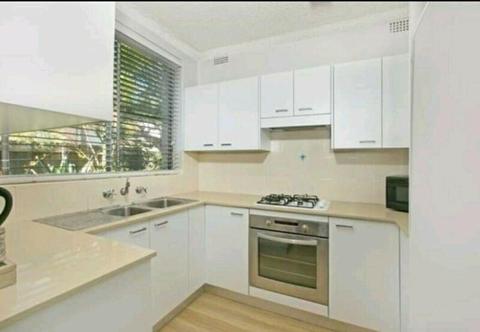 PET FRIENDLY - 1 BED PLUS STUDY - 2 CARSPACE IN DEE WHY