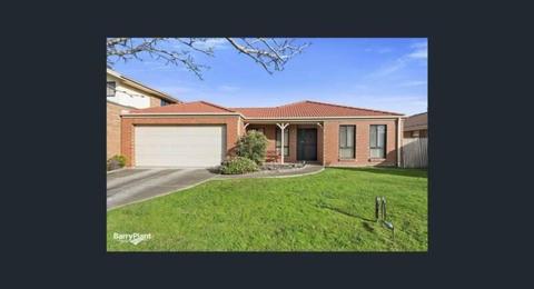Seabrook (Point Cook) Four Bedroom Single Story House for Rental