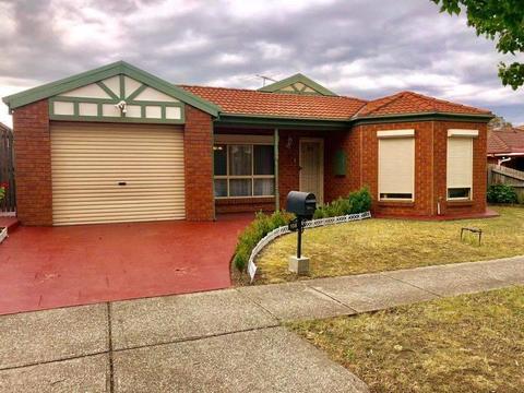3 bedroom house for rent in ROXBURGH PARK PRIME LOCATION