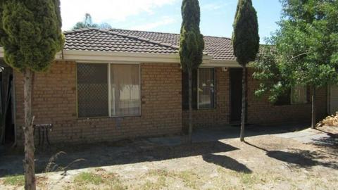 Spacious 4x2 House in Beechboro for Rent