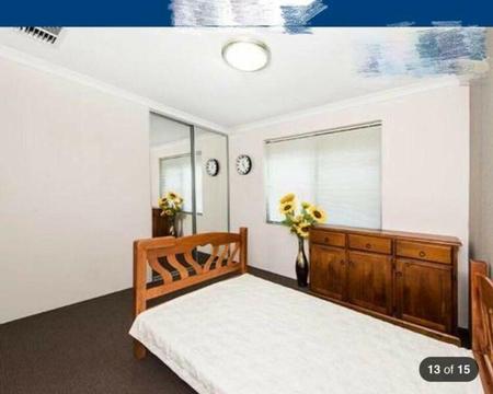 Canning vale luxury room for rent!