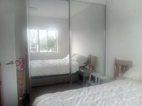 Roomshare in Panania, NSW
