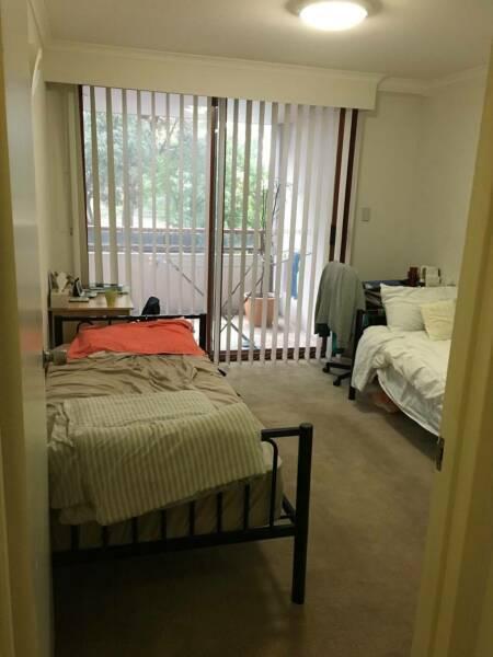 Twin master room available for female in Pyrmont