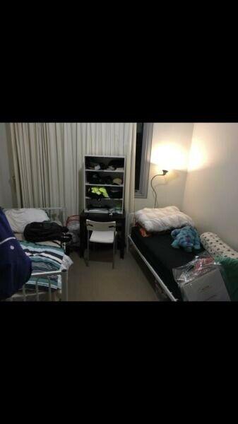 shared girl only twin room City CBD