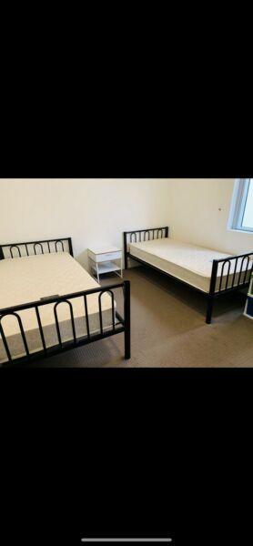 TWIN ROOM AVAILABLE FOR 1 GIRL IN TOWN HALL STATION