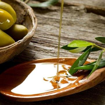 Home Based Olive oil and Vineyard Business - NO RENT