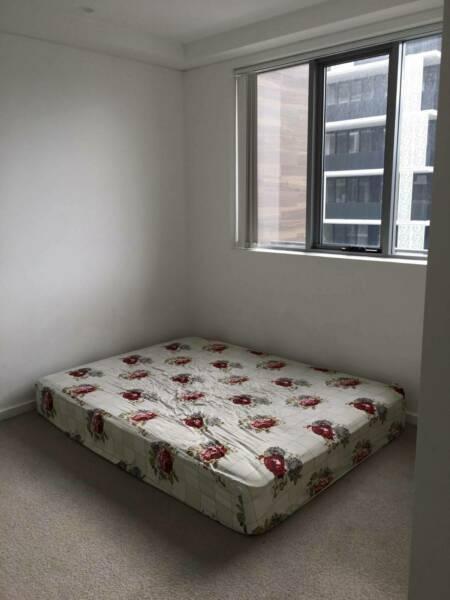 Room for rent near Wolli Creek Station