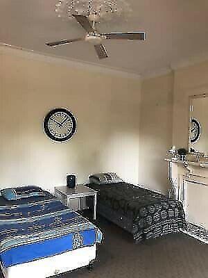 Your single own room $280 per week, available until mid or late Feb