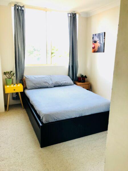 Room for rent in sunny Balgowlah $300 including bills