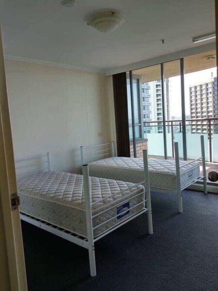 Sydney CBD Twin Room Looking for 1 Male/Female sharemate