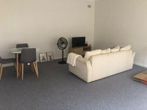 Room Available in 2 Bedroom Apartment
