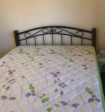 Room for rent with new bed