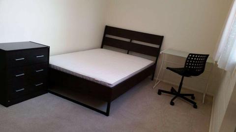 Nice and tidy double room for rent in Maroochydore