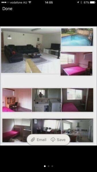 Sunnybank single/double room for rent