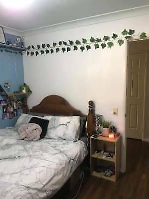 Roommate for Maroochydore Sharehouse $90/wk