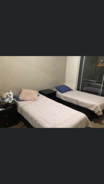 SHARED ROOM for one GIRL in Bowen Hills