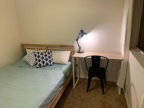 Room for Rent in Ascot - Short-term (female only)