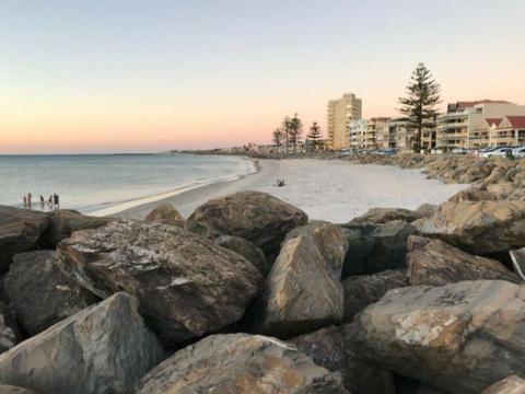 Room to rent in Glenelg North