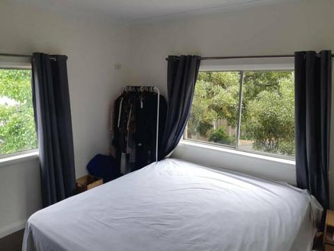 Large room available to rent in Lutana $225 incl bills
