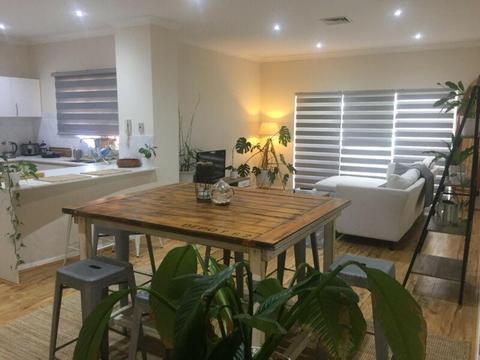 F/F Large Single Room in East Perth Penthouse Apartment (bills inc)