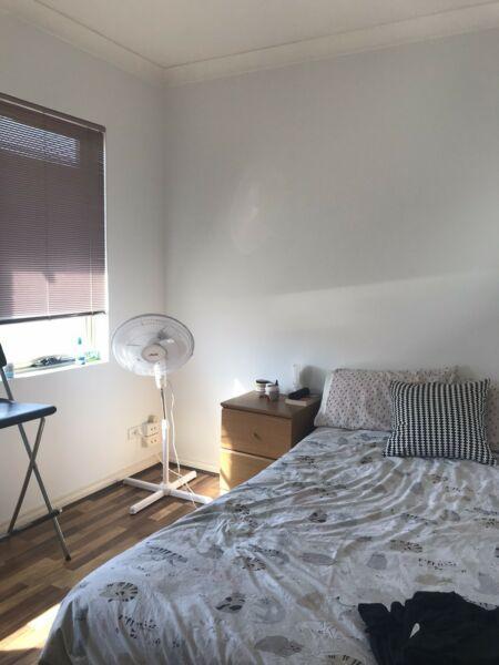 Looking for a housemate! FEMALE only-in Maylands