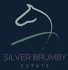 Silver Brumby Estate a new land development 45 minutes south of ACT