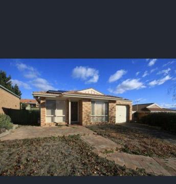 Rooms for Rent in Ngunnawal