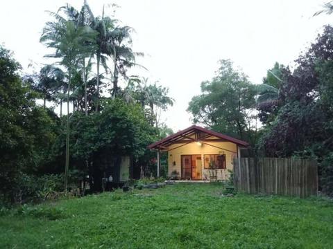 Beautiful Cottage in the Rainforest up for Rent!