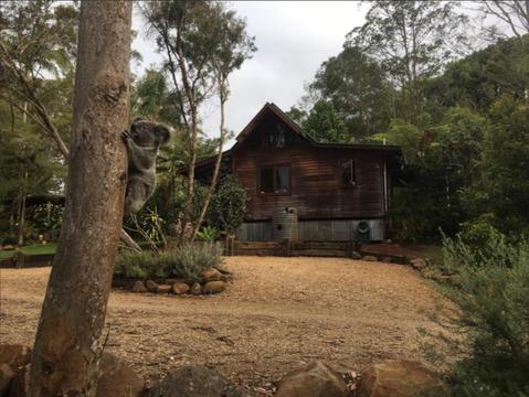 Cabin For Rent, Byron Hinterland