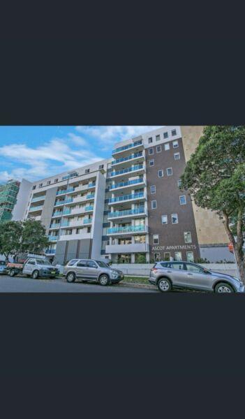 Rosehill two bedroom apartment for rent