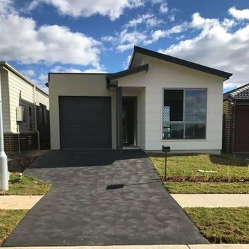 4 Bedroom Near New House for rent Gregory Hills