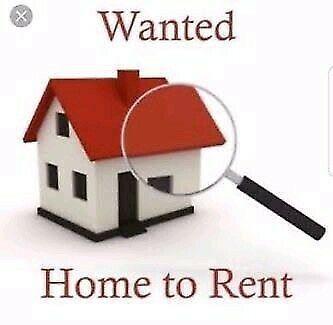 Wanted: 3 bedroom house in Dundee Beach