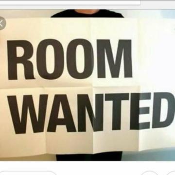 Single Male Looking for free accommodation