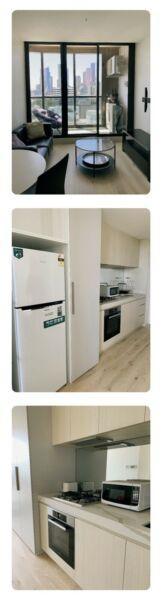 New 2 bedroom apartment (full furnished ,LUG car parking) to rent