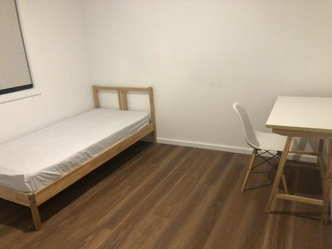 Wantirna South room for rent ( For Female )