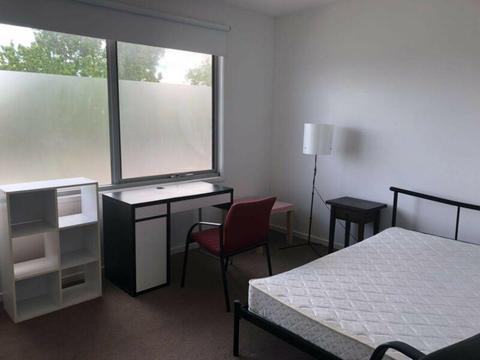 Monash Caulfield rooms in Brand new house walk to everything