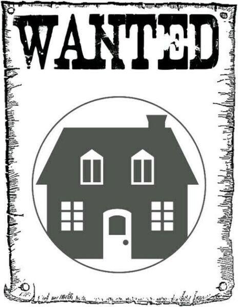 Wanted: room/Studio apartment/ unit Must be Pet Friendly