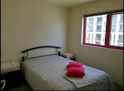 Single bed apartment close to Melb Uni for rent