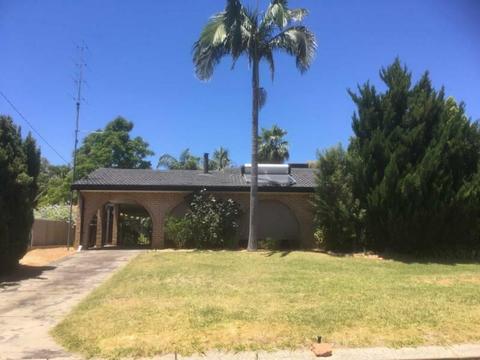 Waroona home 3 x 1 available to rent now