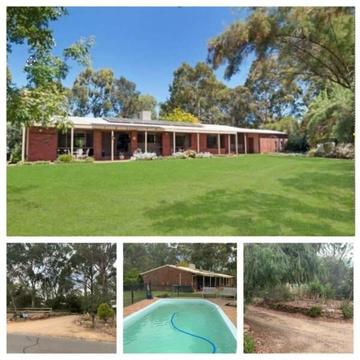 3BR Brick home amoungst a sancturary of Natives on 1¼ acres with pool