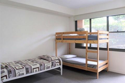 Shared room in Kingsford, opposite UNSW Sydney Kensington Campus