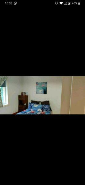 Private room rent in caulfield near Monash