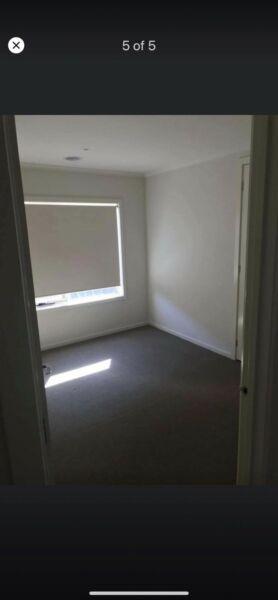 Room available for rent next to wyndham vale station